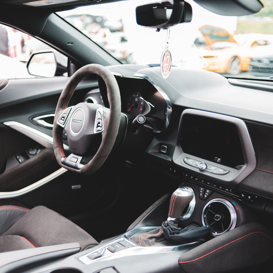 Interior Deep Clean: Shine & Protect with Dub Boy Soft Pig and Turtle Shell